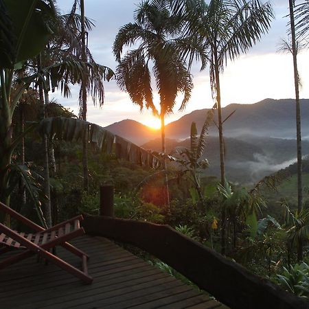 Eco Hostel Organic Life Trindade  Bagian luar foto