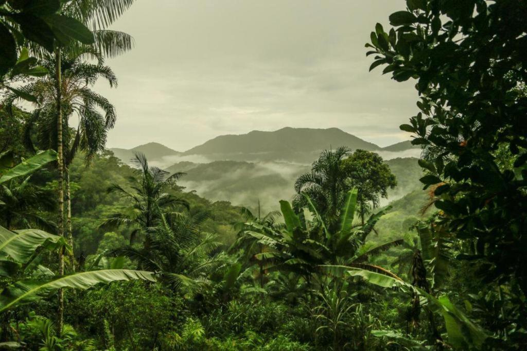 Eco Hostel Organic Life Trindade  Bagian luar foto