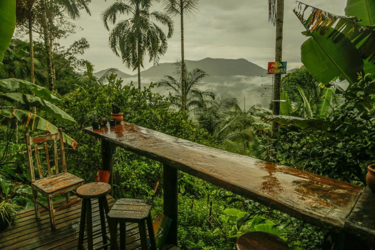 Eco Hostel Organic Life Trindade  Bagian luar foto