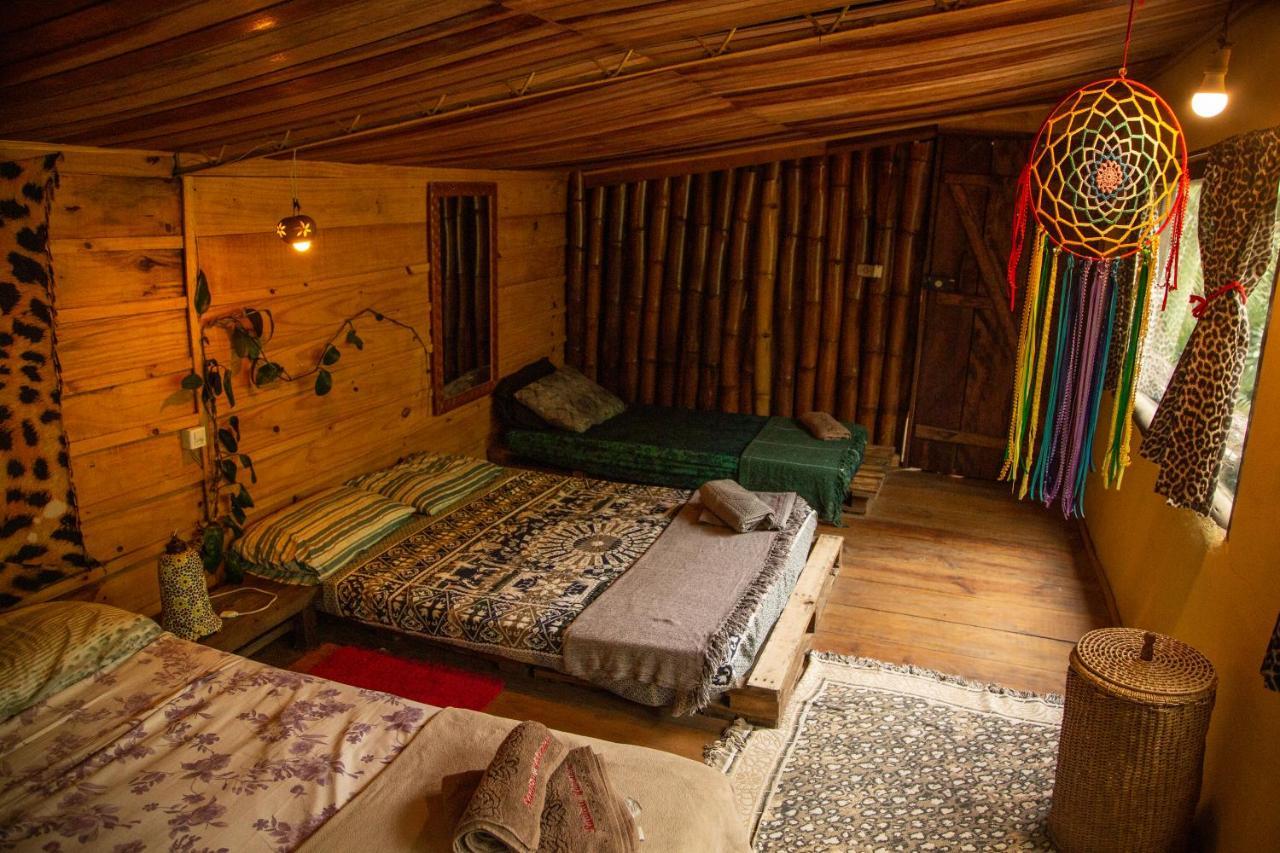 Eco Hostel Organic Life Trindade  Bagian luar foto