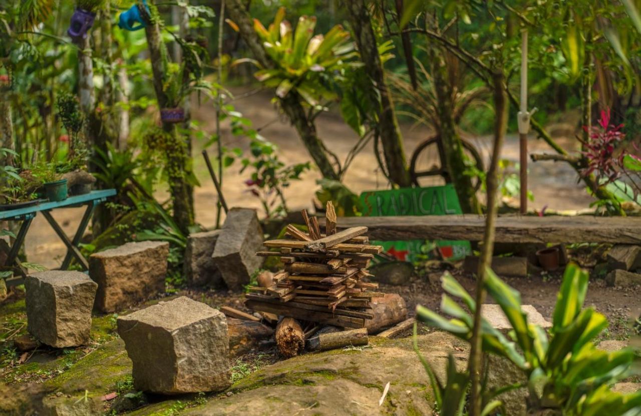 Eco Hostel Organic Life Trindade  Bagian luar foto