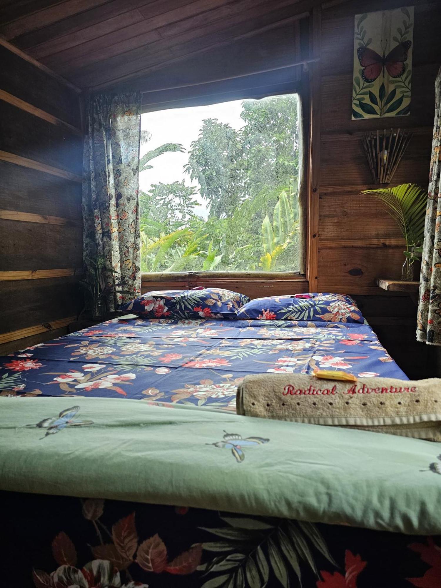 Eco Hostel Organic Life Trindade  Bagian luar foto
