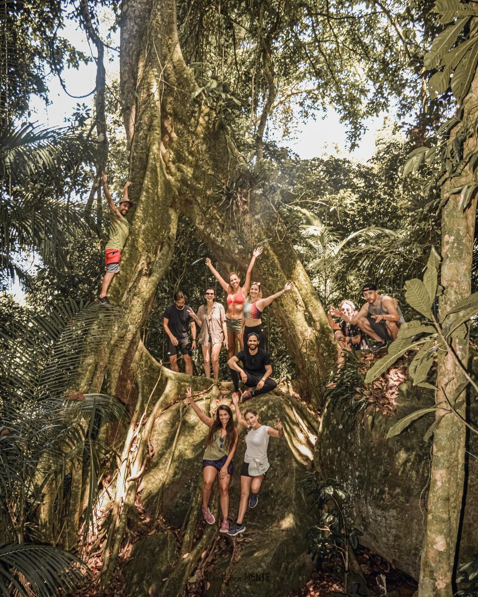 Eco Hostel Organic Life Trindade  Bagian luar foto